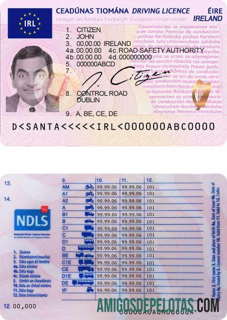 Carta de condução da Irlanda modelo